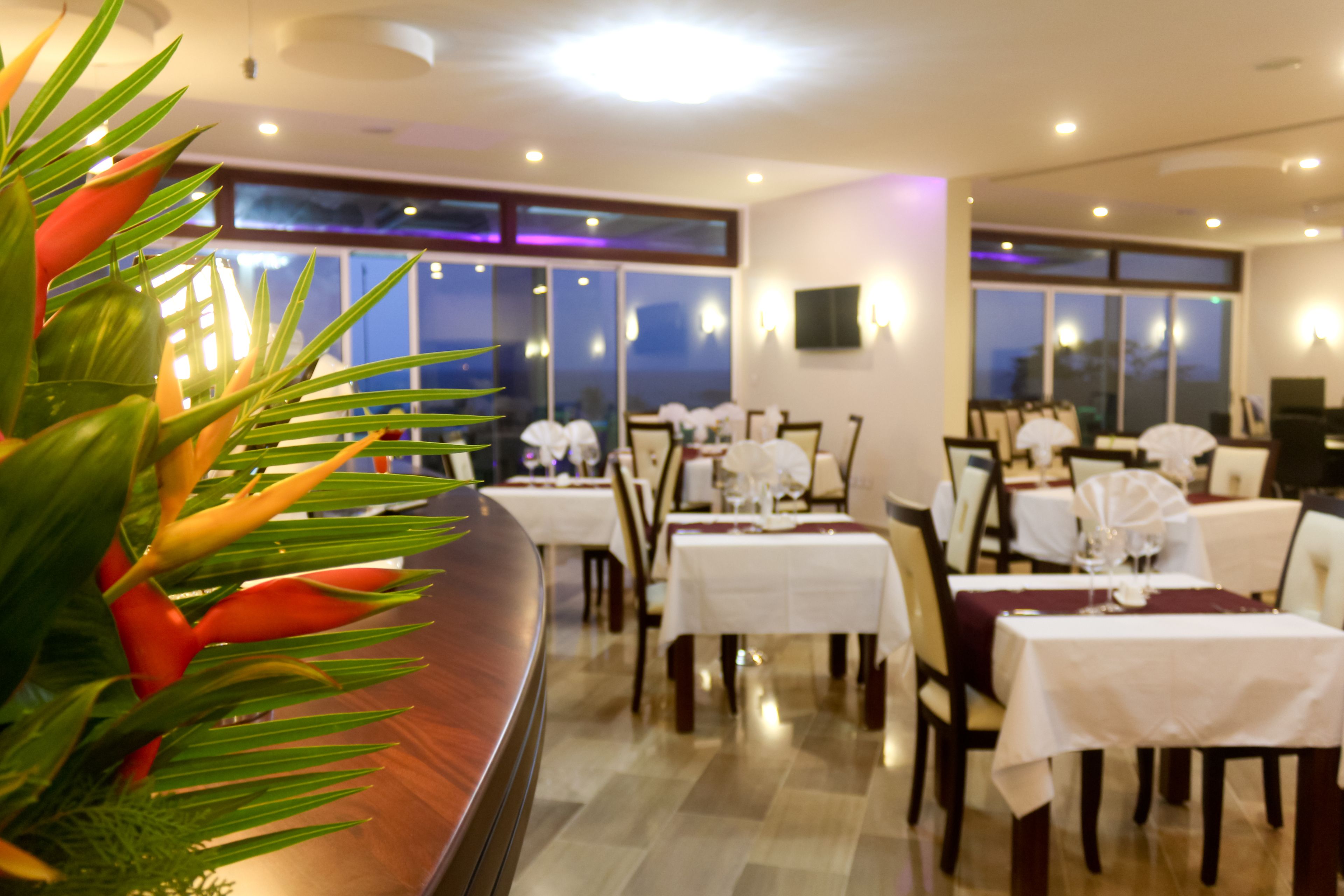 A restaurant with tables set for dining, large windows, and a plant in the foreground.