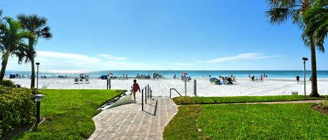Plage, chaises longues