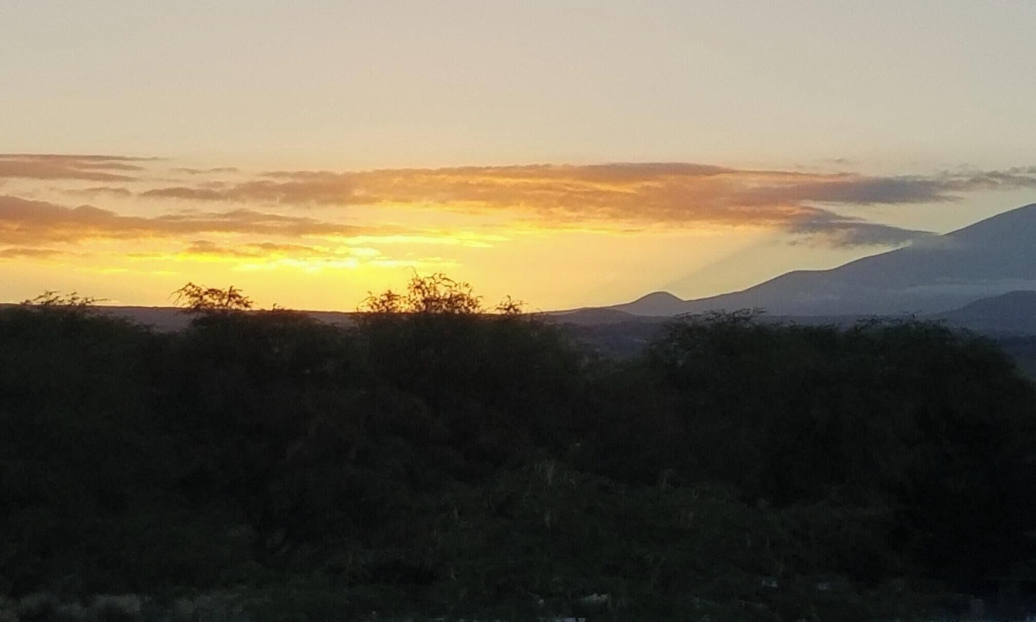 Een landschap met een berg op de achtergrond en een heldere lucht.