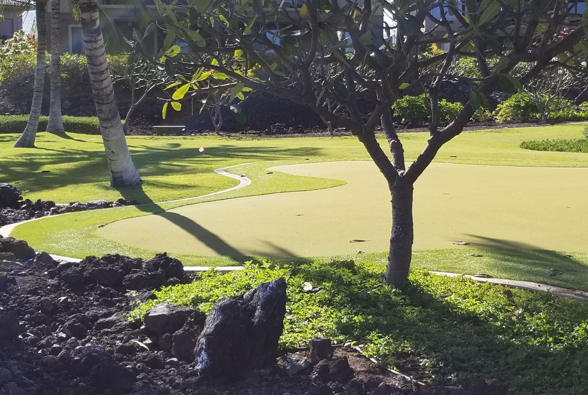 A golf course with a putting green, palm trees, and a well-maintained lawn.