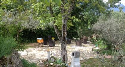 Fattoria La Tana della Volpe