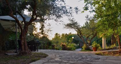 Fattoria La Tana della Volpe