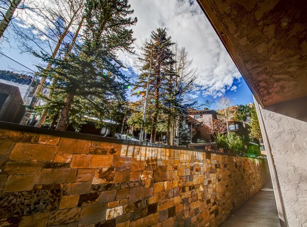 Property grounds - Spacious Condo with Excellent Location at the Base of Aspen Mountain (Aspen)