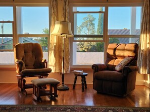 TV, DVD player, books, video library