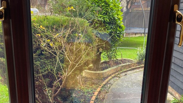 A window with a view of a garden, including a tree and a brick pathway. - Rosebarne Bed & Breakfast (Haverhill)