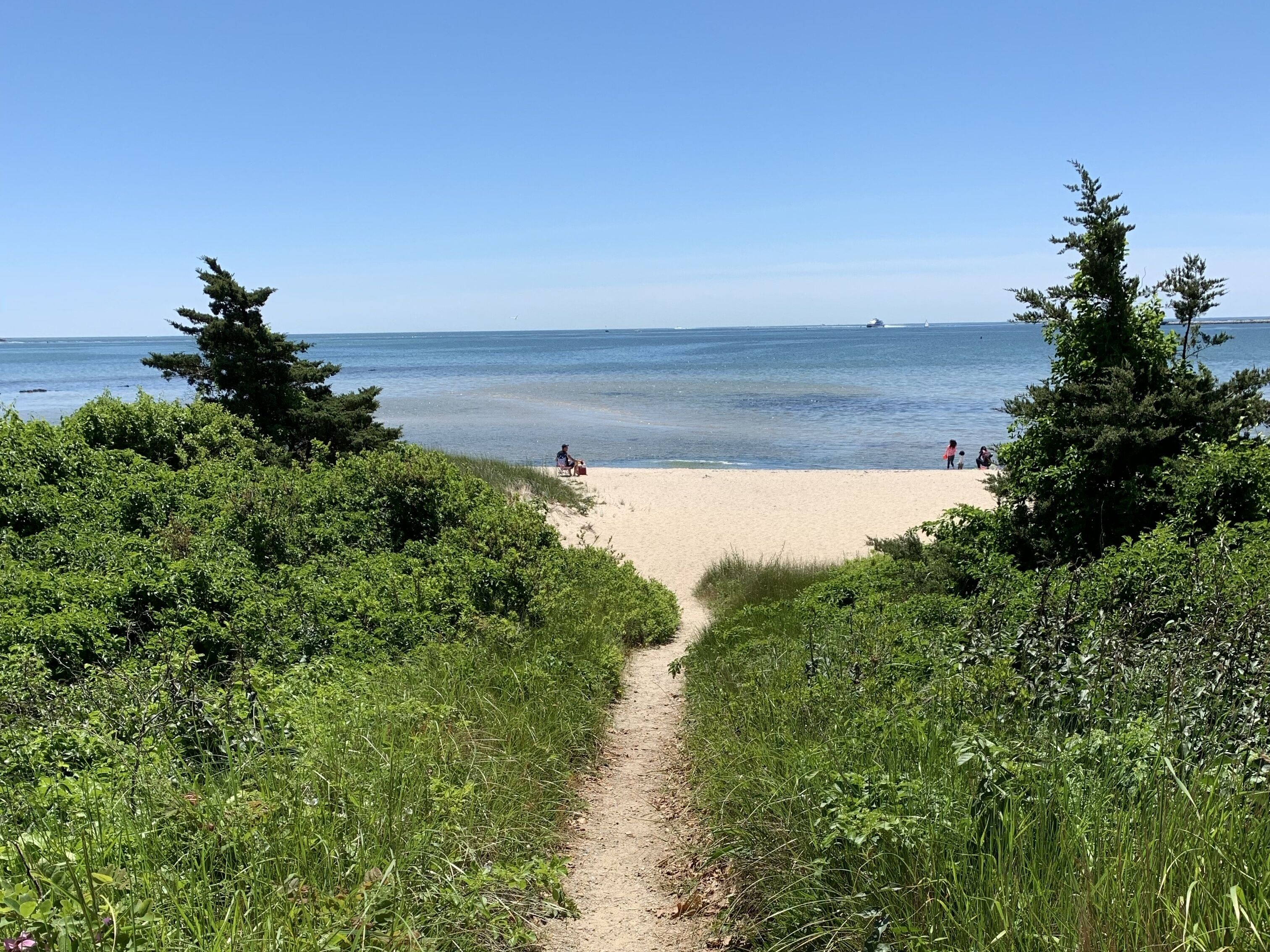 بالقرب من الشاطئ، كراسي للتشمس