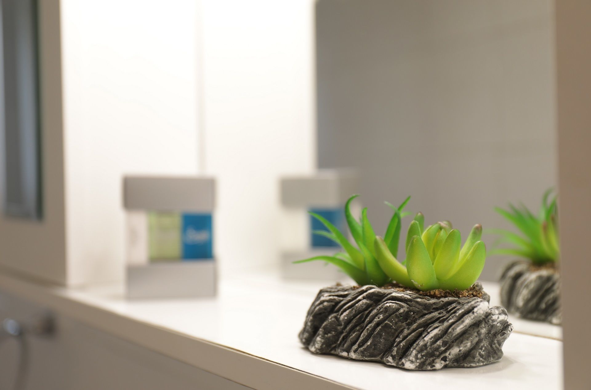 A bathroom with a white countertop, a small potted plant, and a mirror reflecting the room.