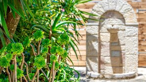 A stone archway with a rustic wooden fence in the background. - Villa Agricola (Zakynthos)