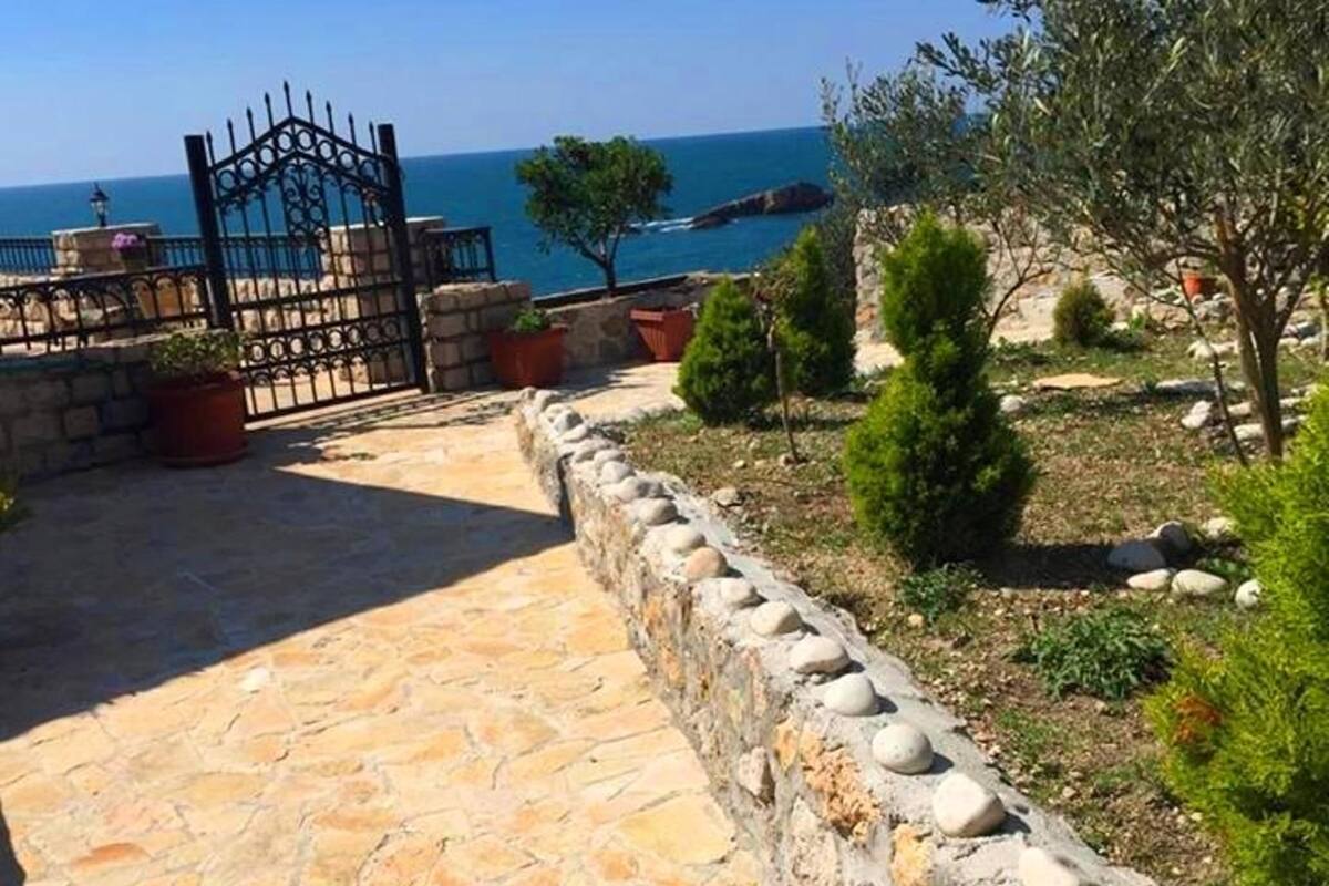 Superior One-Bedroom Apartment with Terrace  | Terrace/patio