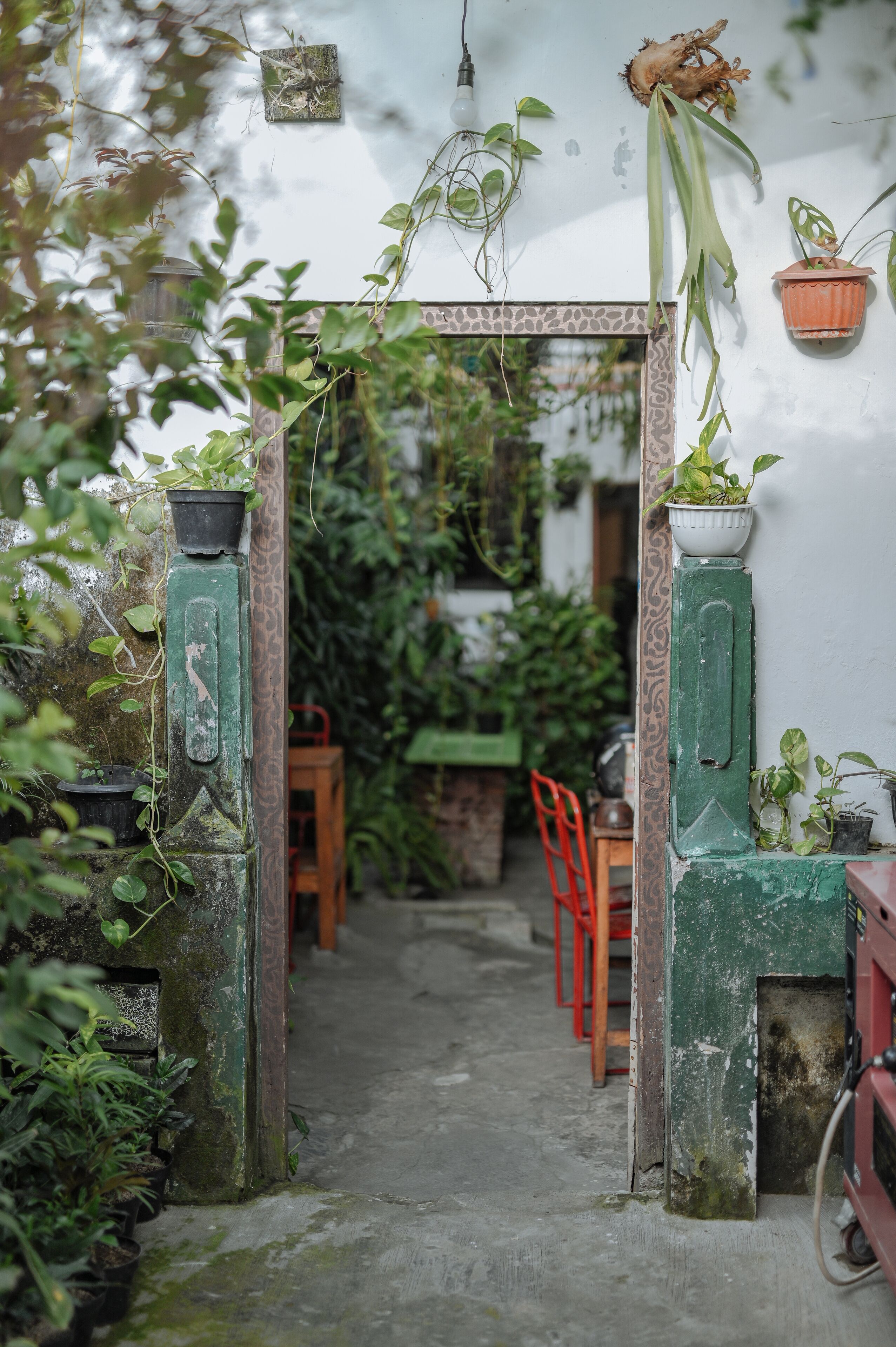 Un sendero estrecho que lleva a una habitación con puerta verde, rodeada de macetas con plantas y una silla roja.