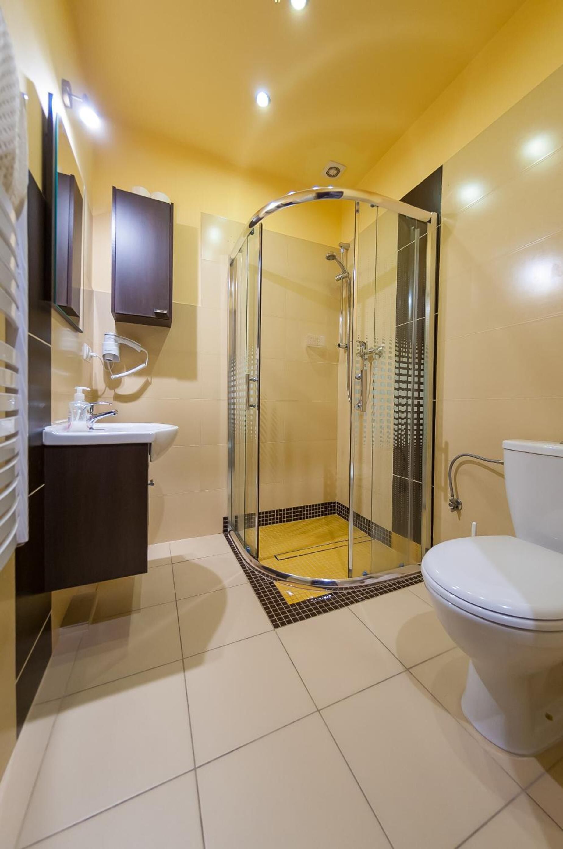 Shower, hair dryer, towels