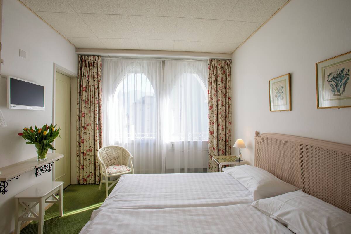 basic double room, 2 single beds, non smoking | 1 bedroom, down duvets, minibar, blackout curtains