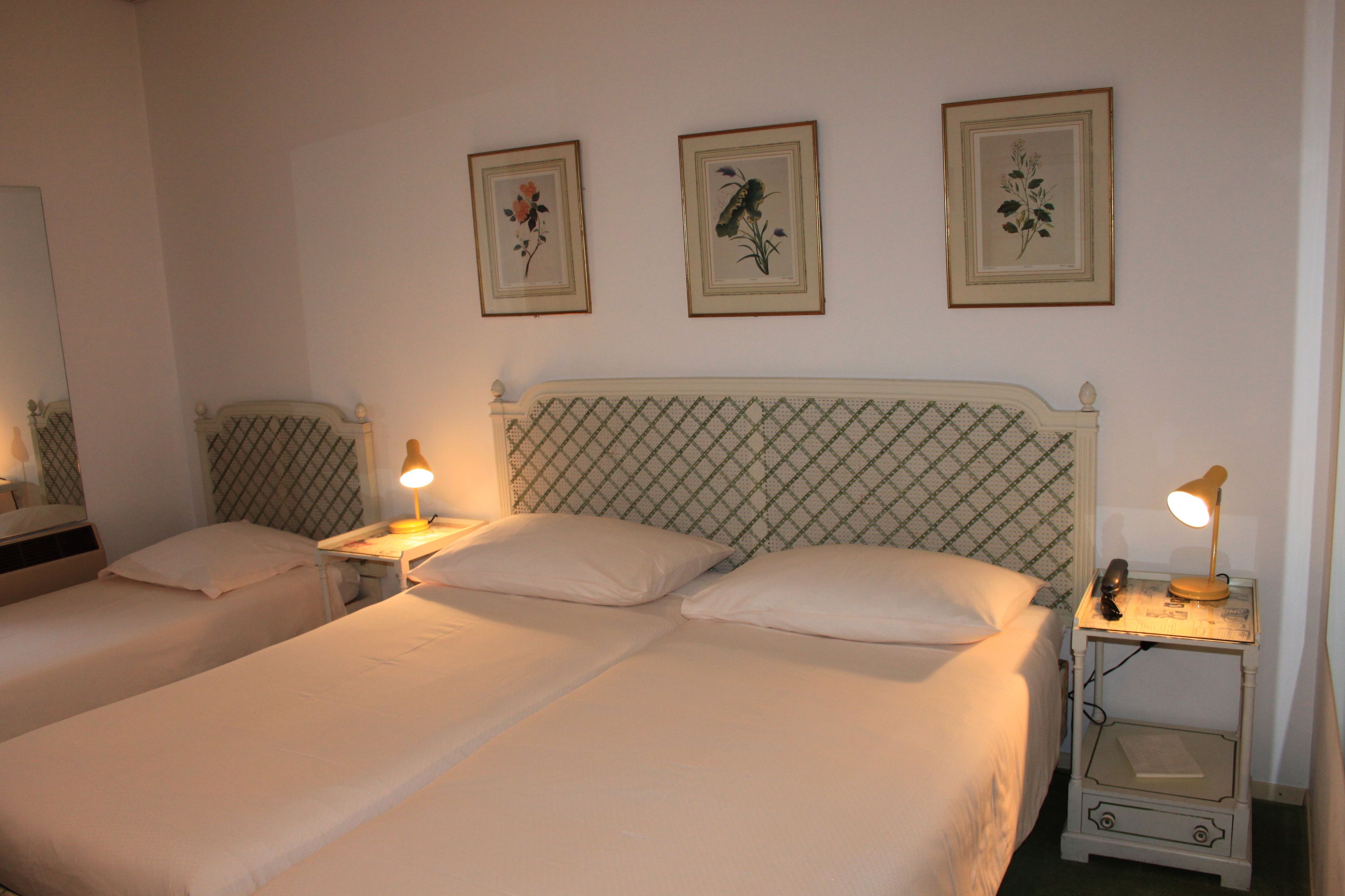 standard triple room, 3 single beds, non smoking | 1 bedroom, down duvets, minibar, blackout curtains