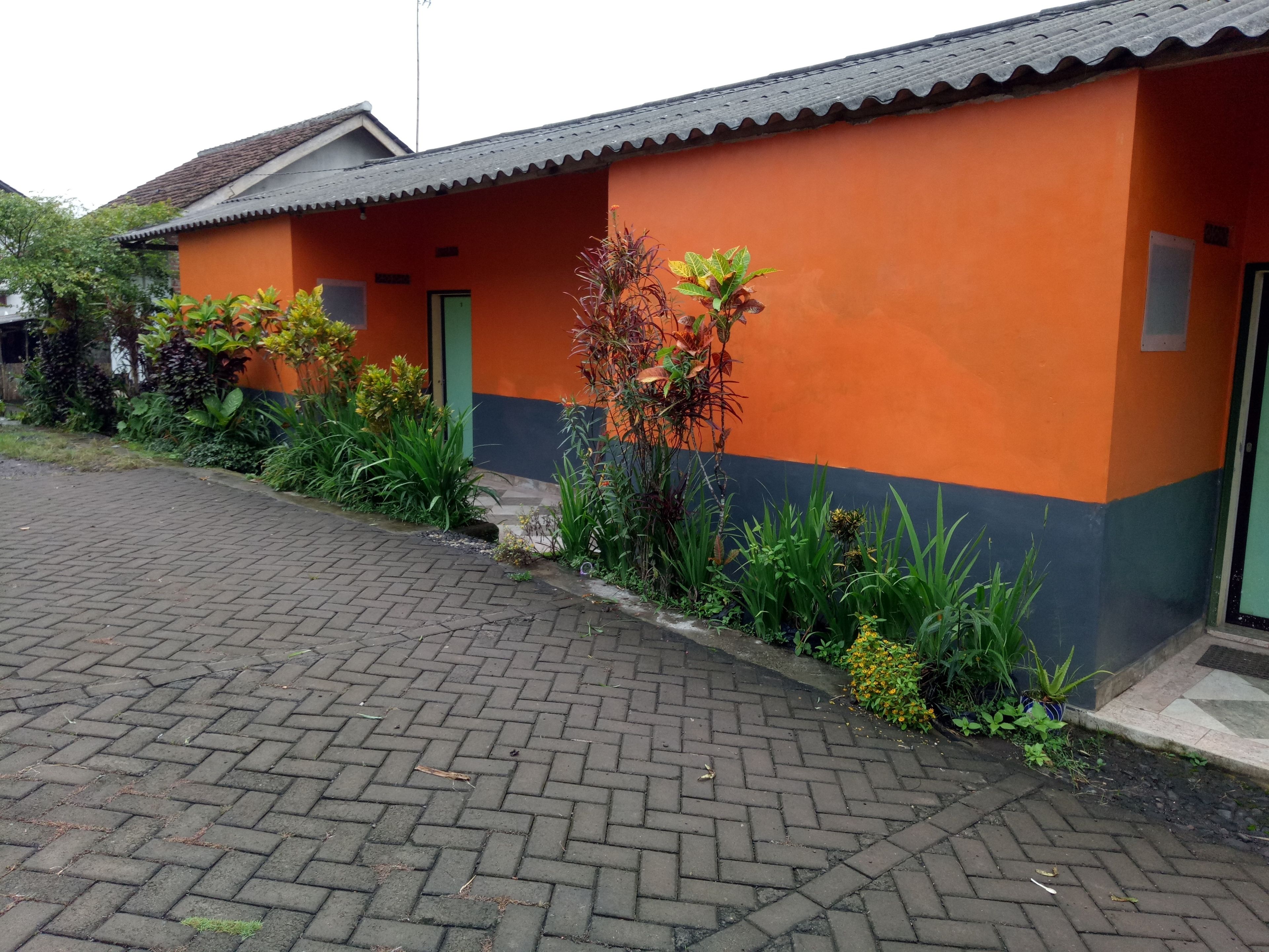 A building with a brick-paved entrance, a green door, and a small garden with various plants.