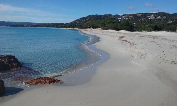 Una spiaggia nelle vicinanze