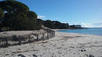 Tæt på stranden