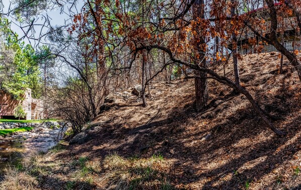 A hillside with a building in the background, surrounded by trees and a stream.