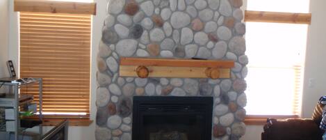 Televisión, chimenea, videojuegos y reproductor de DVD