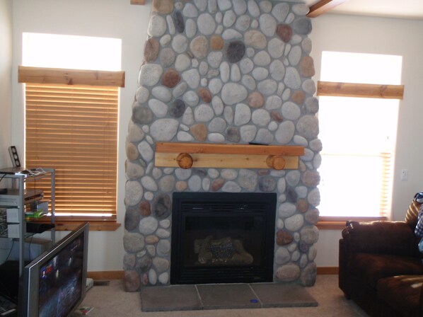 TV, fireplace, video games, DVD player