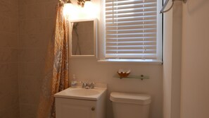 A bathroom with a toilet, sink, and shower.