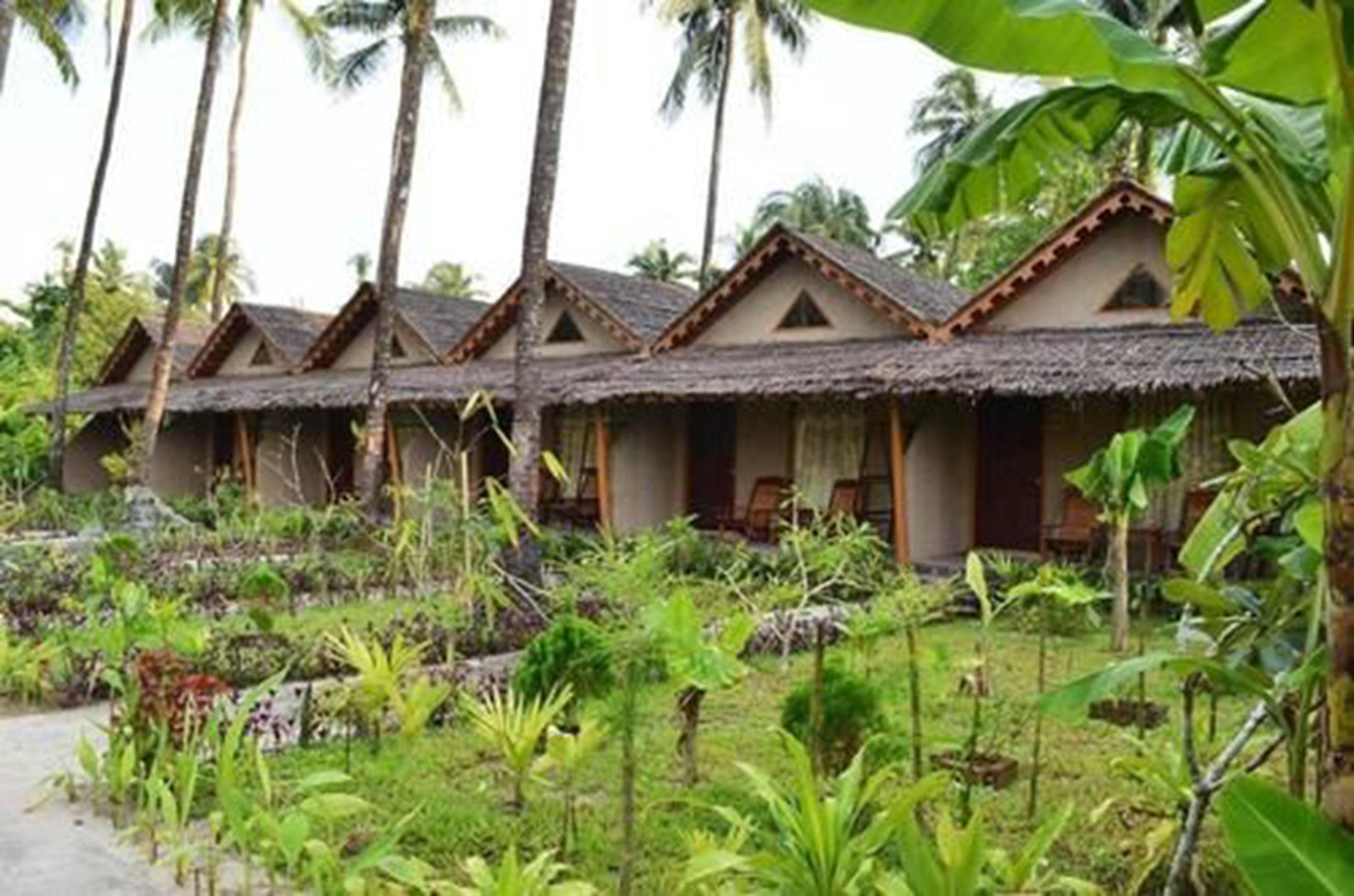 A row of thatched-roof cottages with a lush garden in front.
