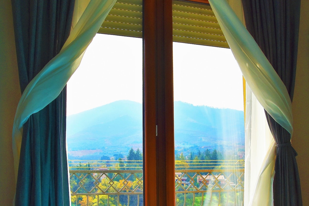 A room with a bed, curtains, and a large window with a view of a landscape.