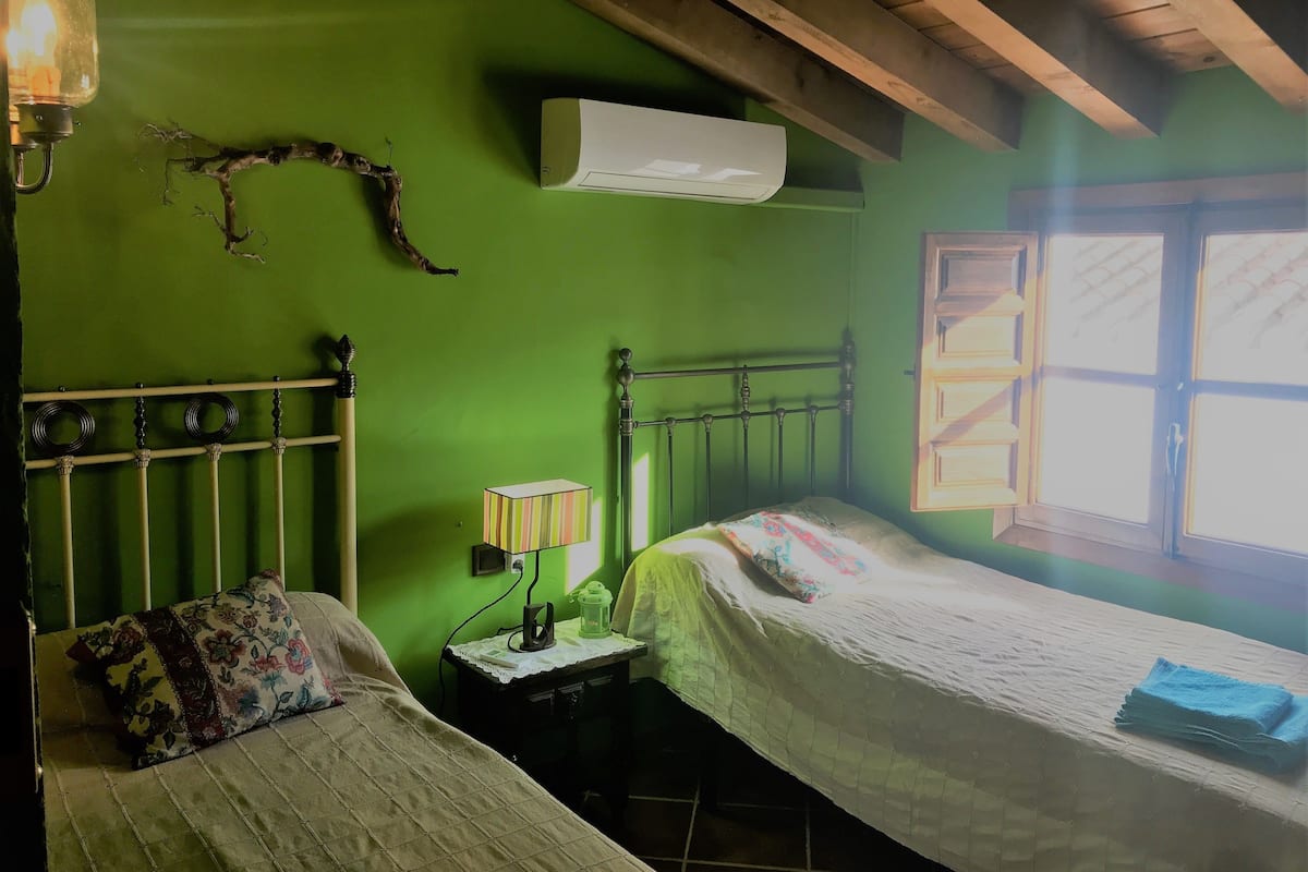 Ein Zimmer mit zwei Betten, einer grünen Wand, einer Holzbalkendecke und einer Klimaanlage.