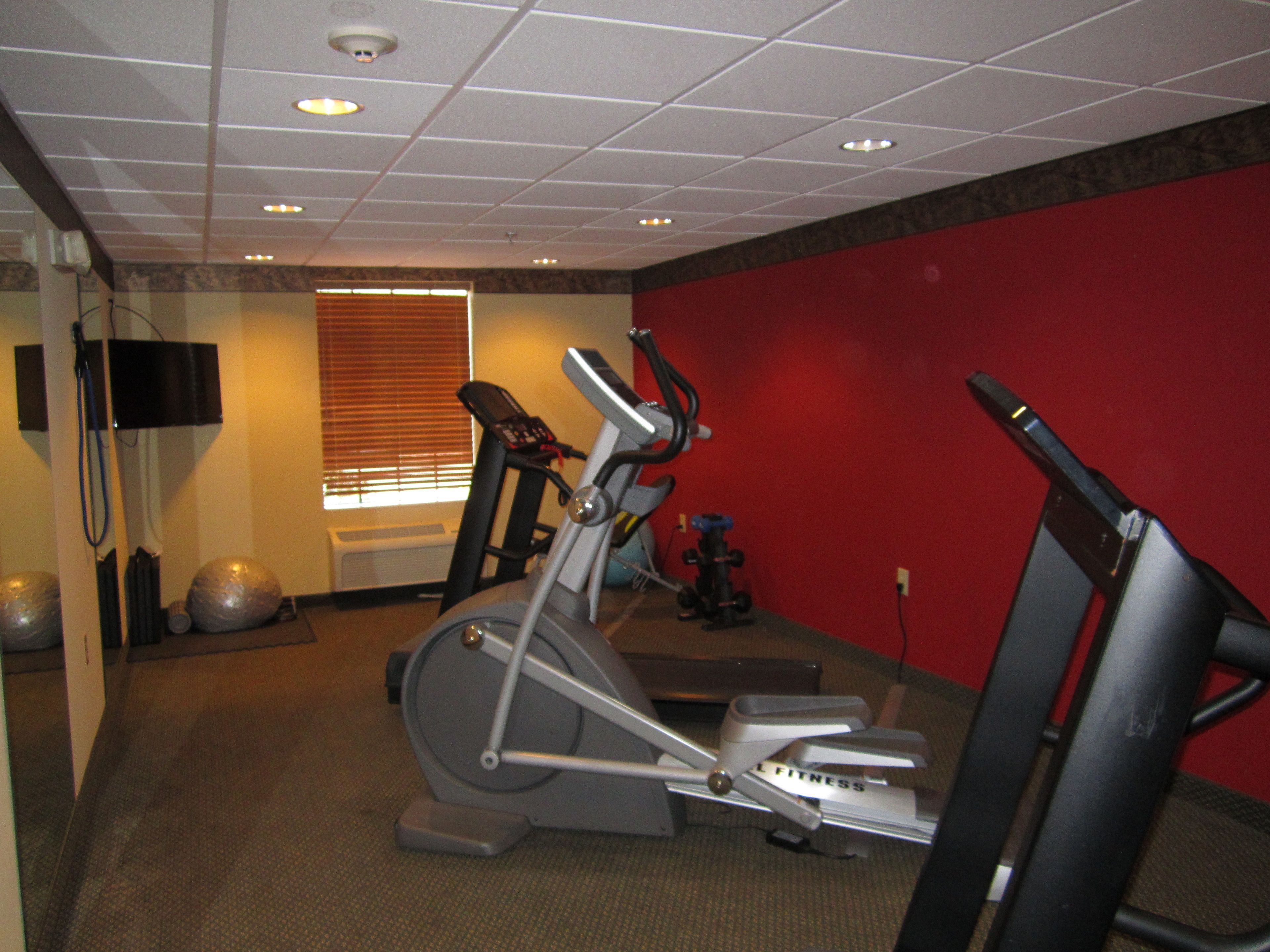 A gym with exercise equipment, a treadmill, and a stationary bike.