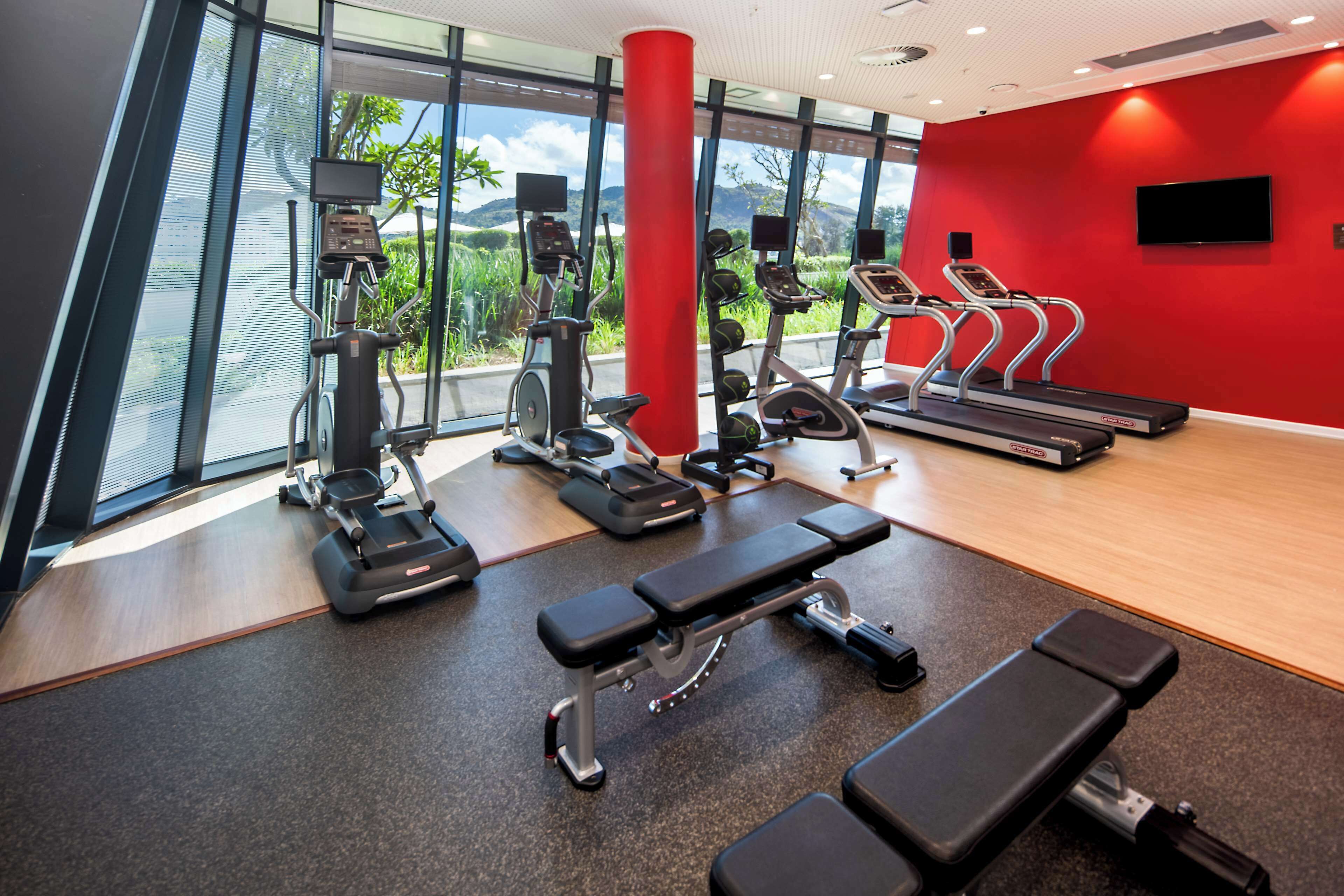 Une salle de sport équipée de machines de cardio, d’un banc et de grandes fenêtres donnant sur un espace verdoyant.