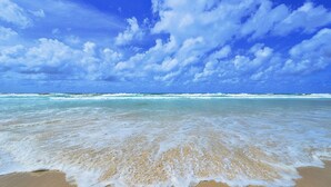 A beach with clear blue water and white foam waves, under a partly cloudy sky. - Resort on the Beach 2214 15 with resort Pool (KINGSCLIFF)