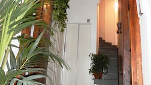 Une entrée avec une porte en bois, un escalier et des plantes en pot.