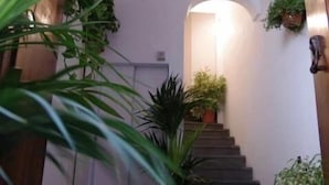 Un escalier agrémenté d’un plafond décoratif et de plantes en pot.