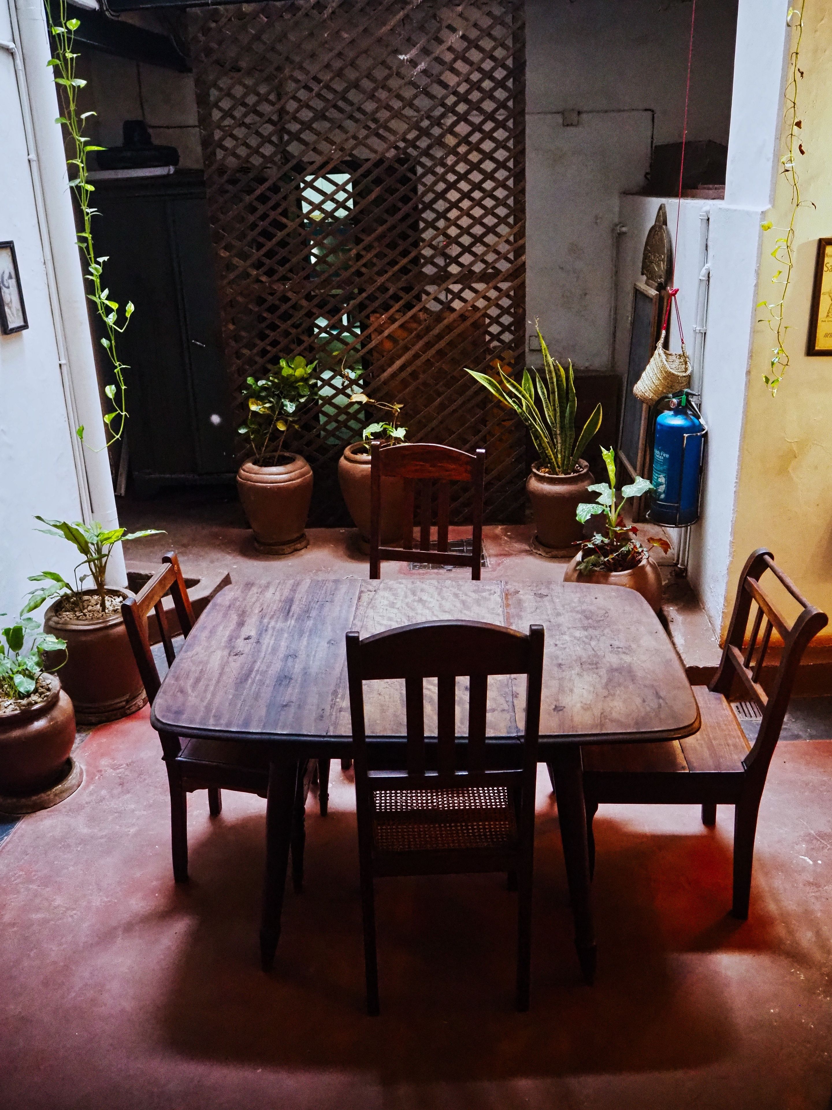 A wooden dining table with chairs, surrounded by potted plants.