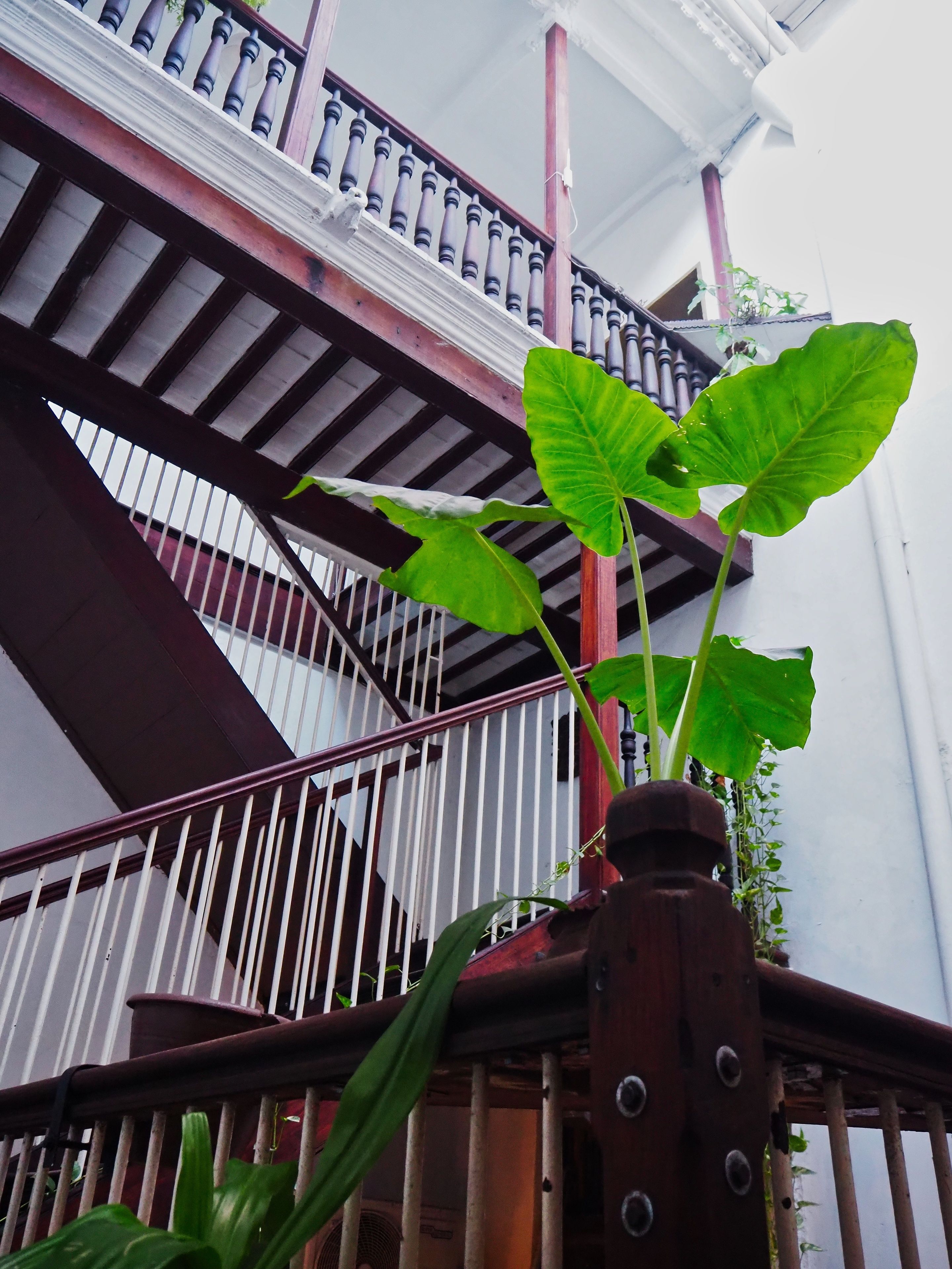 Foto - Zanzibar Coffee House