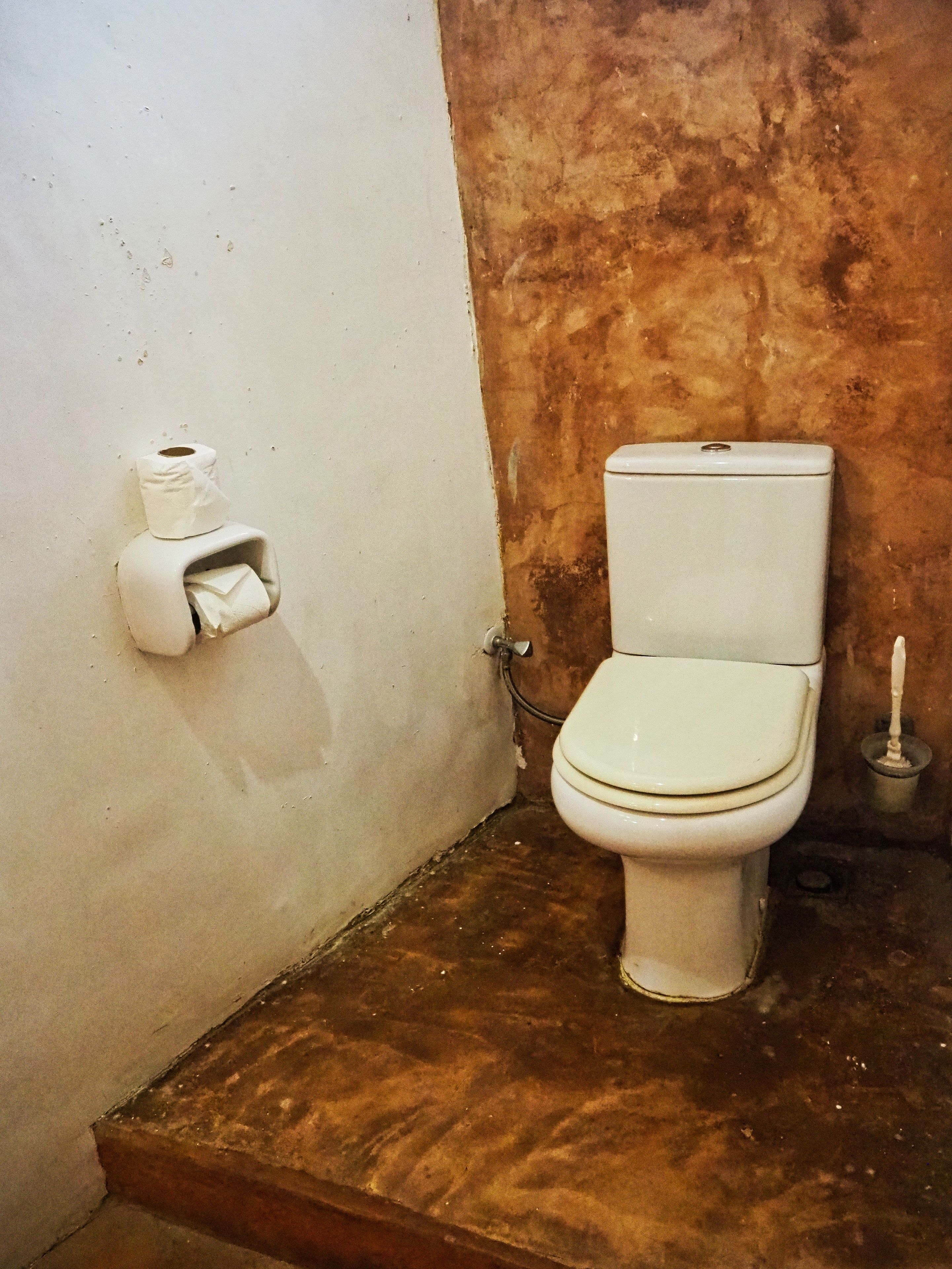 Un baño pequeño y funcional con inodoro y dispensador de papel higiénico en la pared.