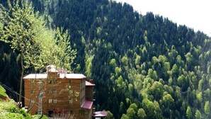 Unclassified image, 2 of 26, button - Grand Sis Hotel (Çaykara)