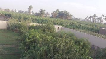Quang cảnh nhìn từ nơi lưu trú