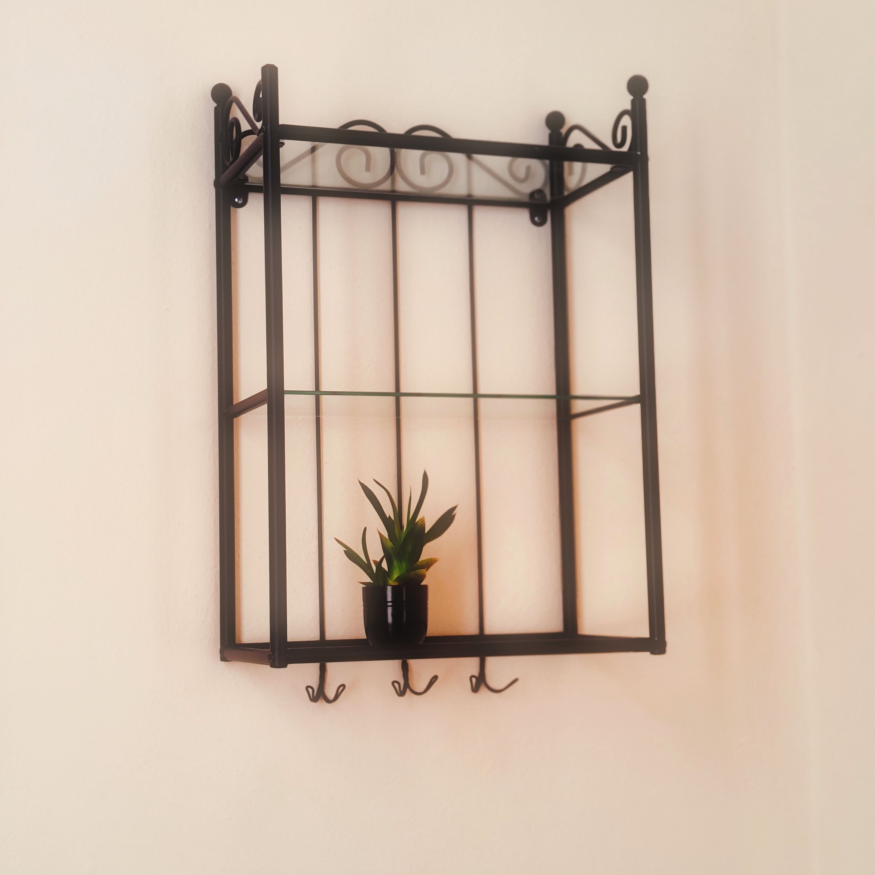 A black metal wall-mounted shelf with a single potted plant.
