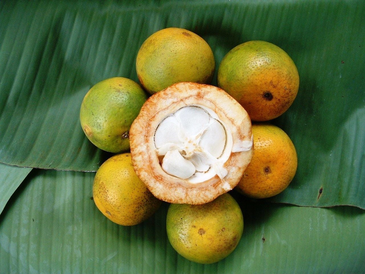 Photo - Princess Salme Inn