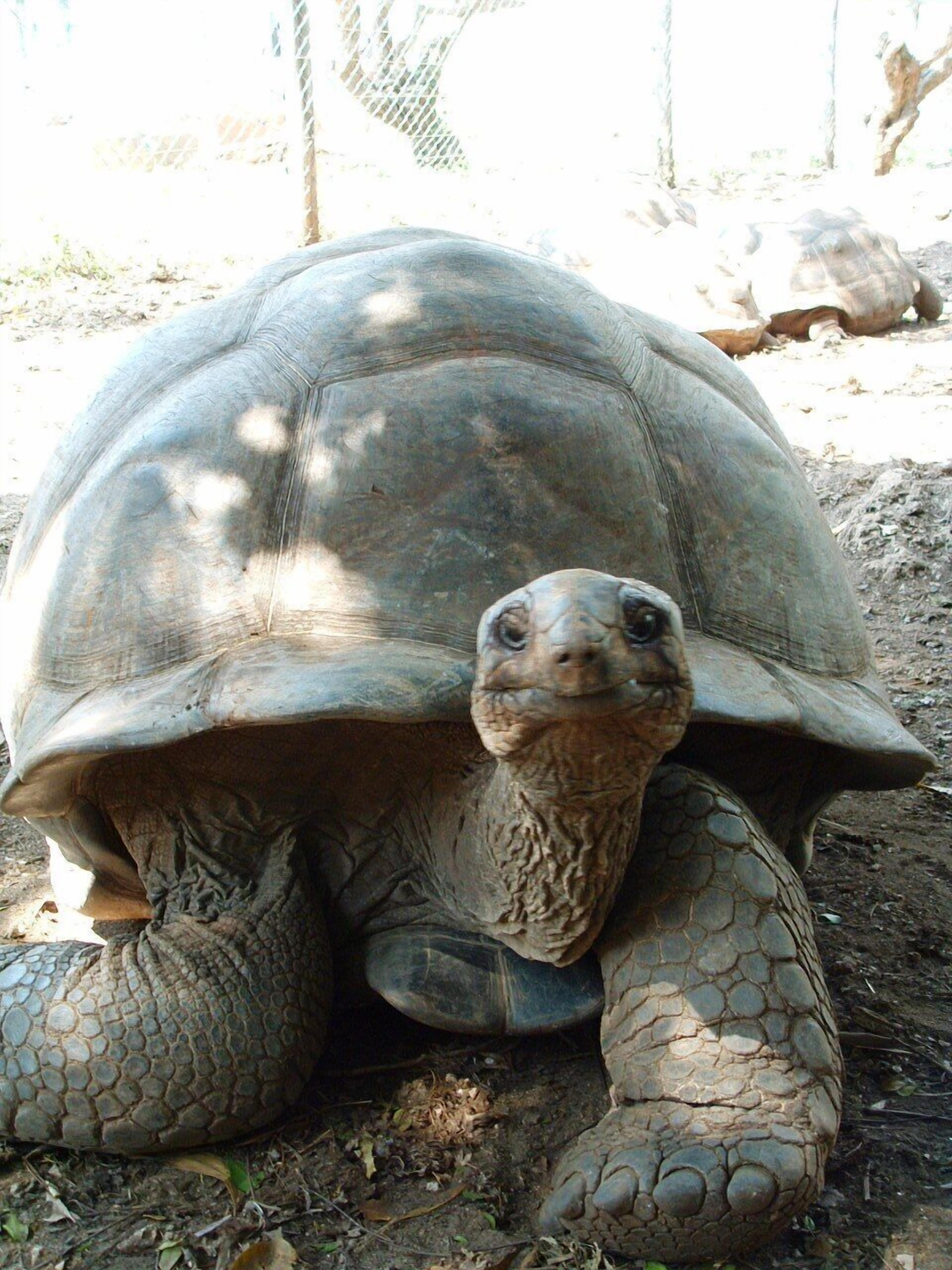 Photo - Princess Salme Inn