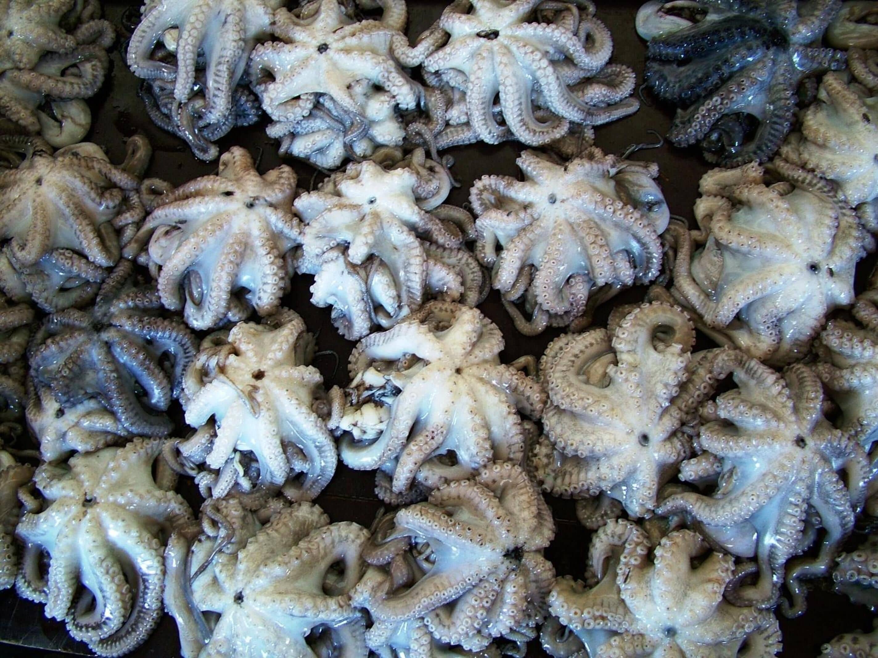 Photo - Princess Salme Inn