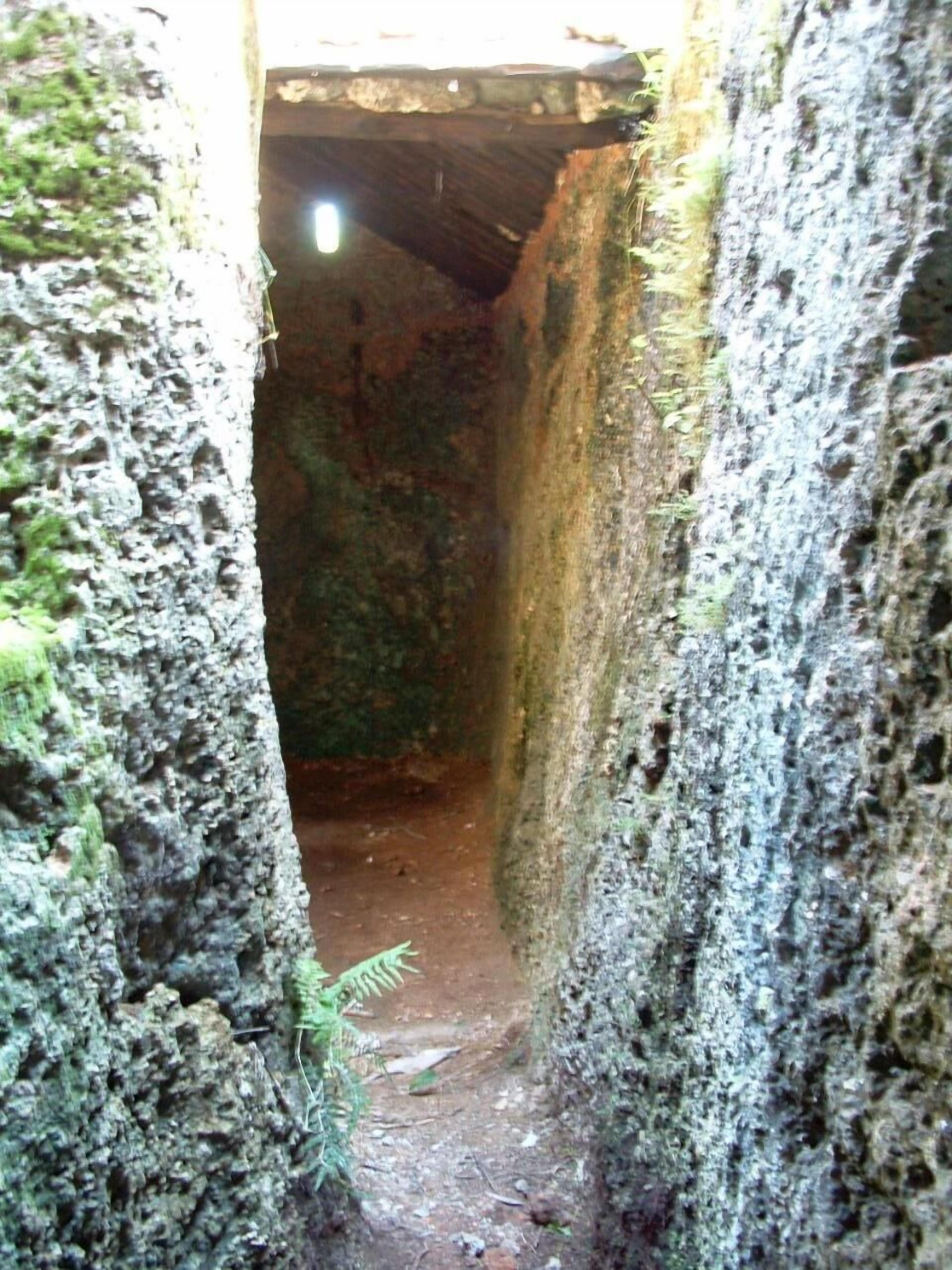 Eksteriør