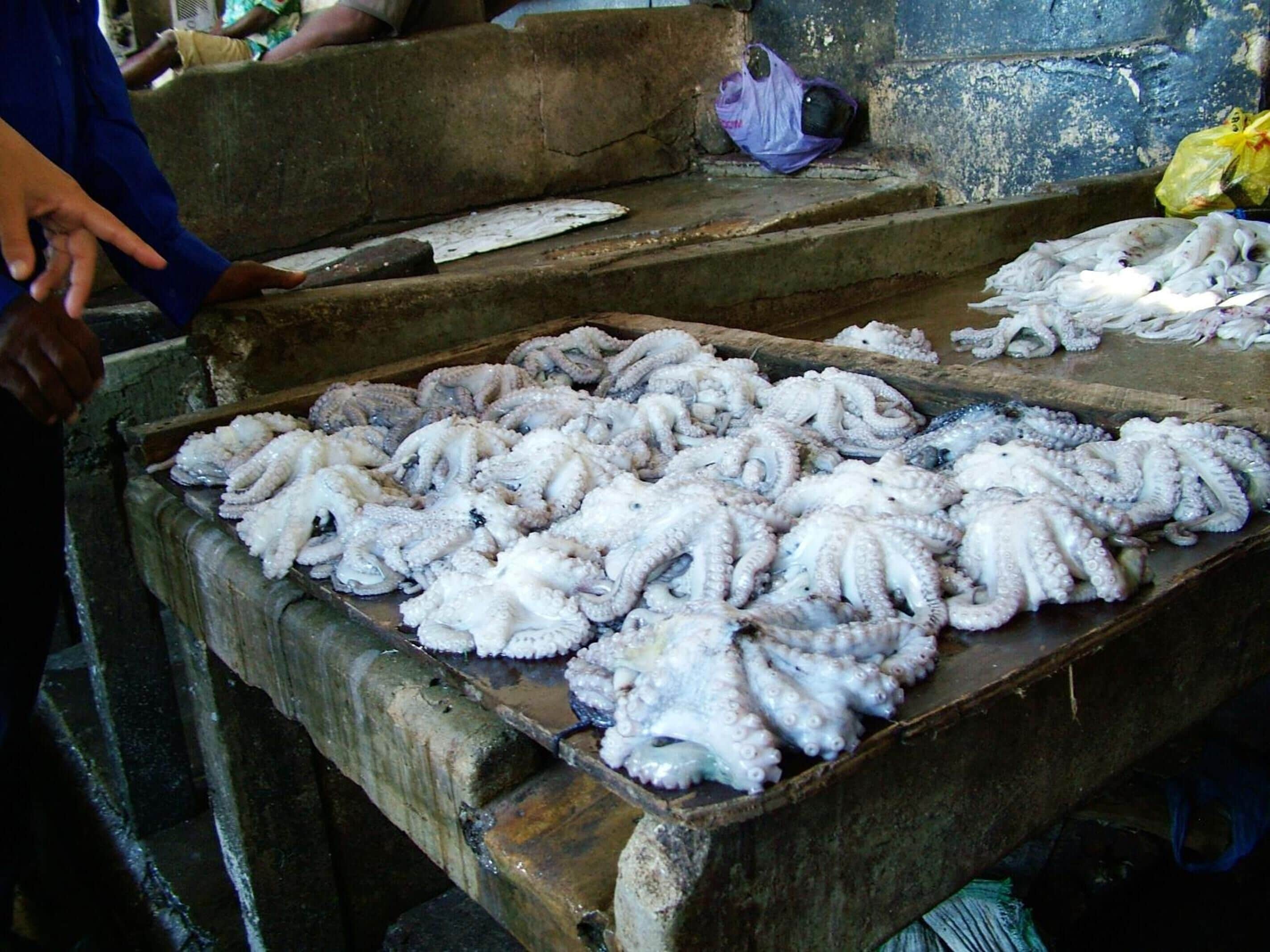 A market stall with octopus displayed on wooden trays.