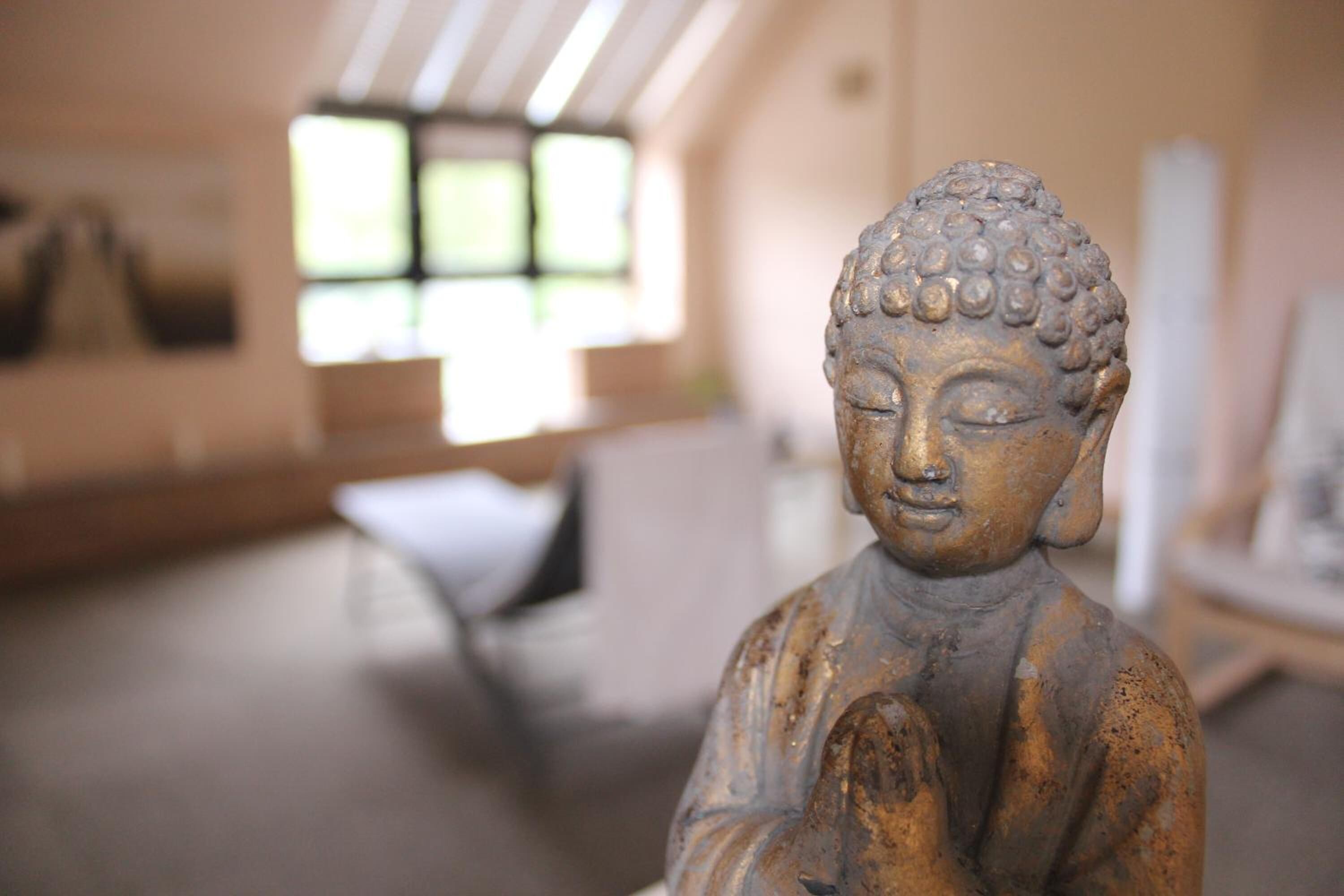 individually decorated, individually furnished, soundproofing