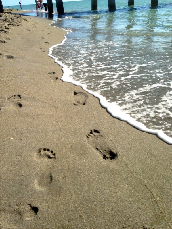 Playa en los alrededores, camastros y toallas de playa 