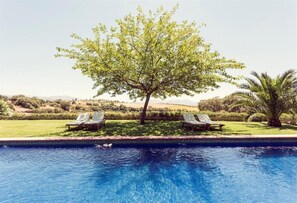 A swimming pool with two lounge chairs and a tree in the background.