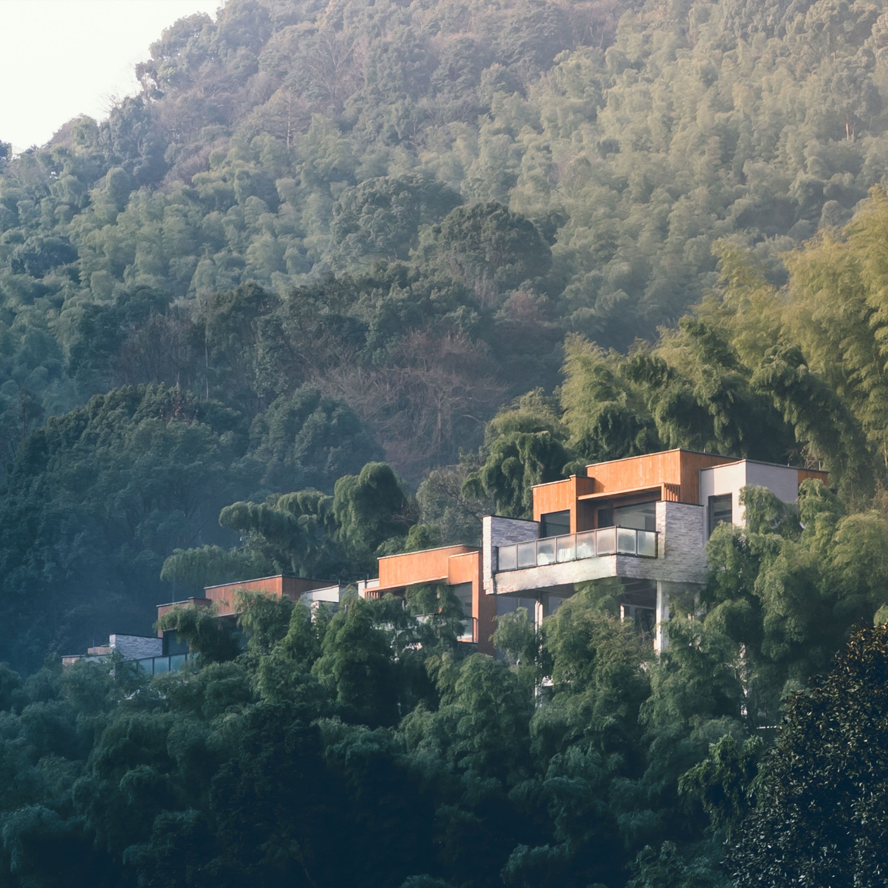A modern building with multiple balconies, surrounded by dense forest.