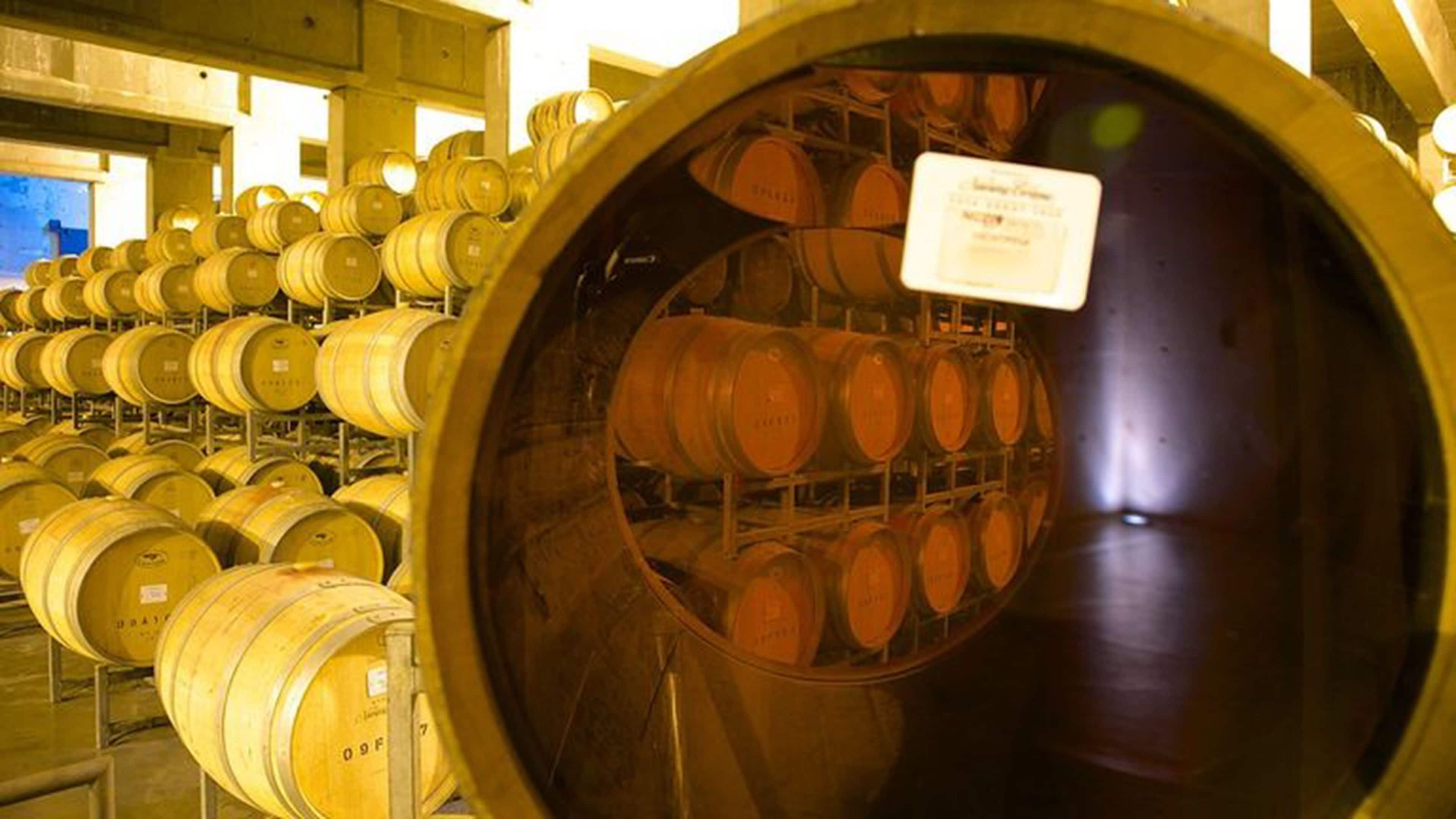 A large wine barrel storage area with multiple barrels arranged in rows.