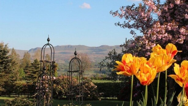 A garden with metal structures, yellow tulips, and a mountainous landscape in the background. - Stable Lodge (Glasgow)