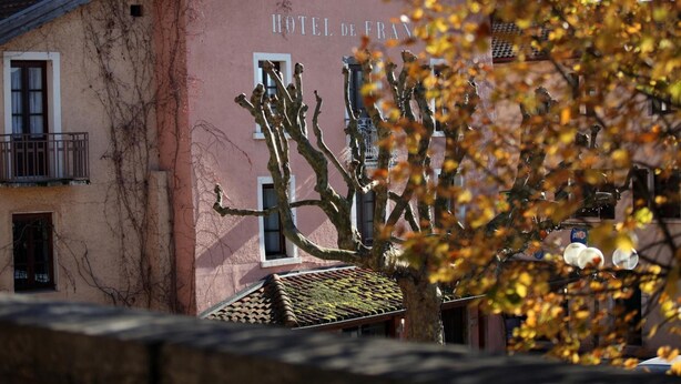 Een roze gebouw met het bord 'HOTEL DE FRANCE' en een boom op de voorgrond.